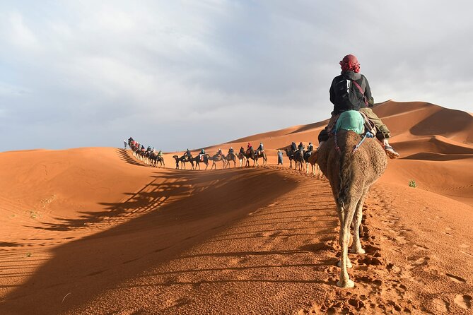 Merzouga Morning Desert Safari With 4x4 & More Activities - Customer Reviews and Satisfaction