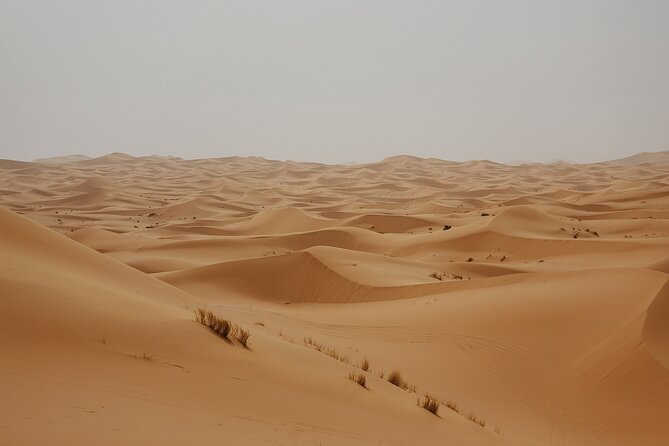 Merzouga Sahara Desert 3 Days Tour From Agadir. - Cancellation Policy