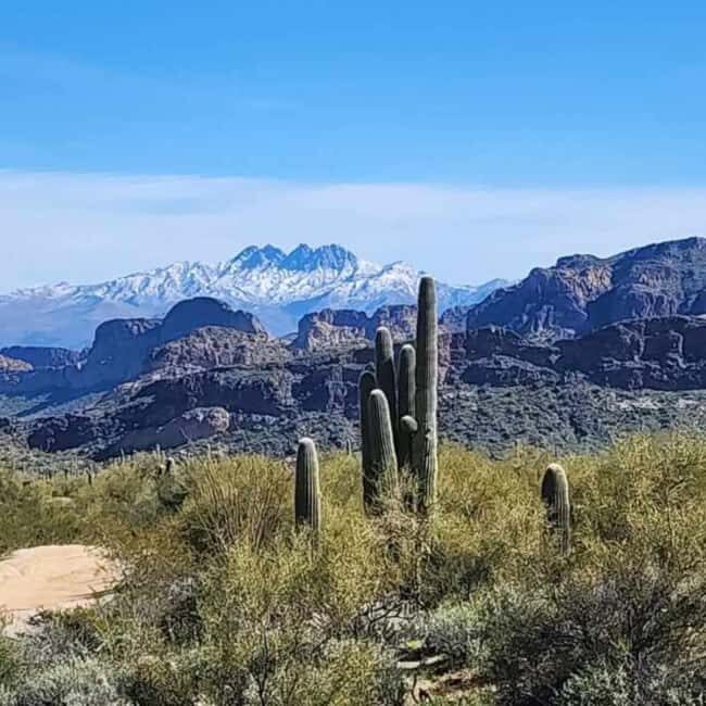 Mesa, AZ: Four Peaks Wilderness Off-Road Tour with Lunch - What to Expect on the Tour