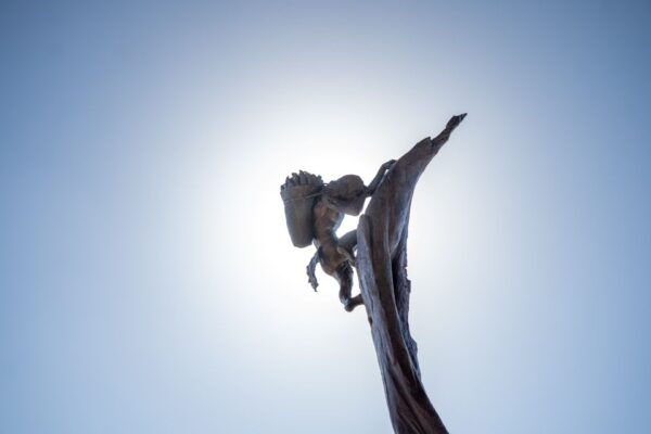 Mesa Verde National Park Tour With Archaeology Guide - The Sum Up