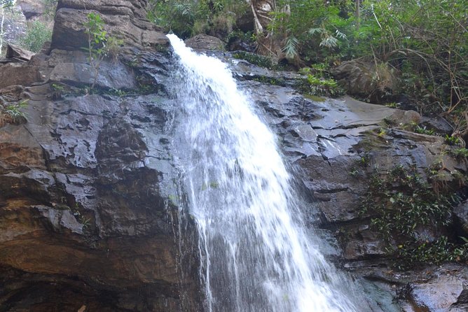 Mesmerizing Central India - Safari Adventure in Satpura Tiger Reserve