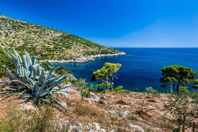 Mesmerizing Hvar Speed Boat Tour With Optional Wine Tasting - The Sum Up