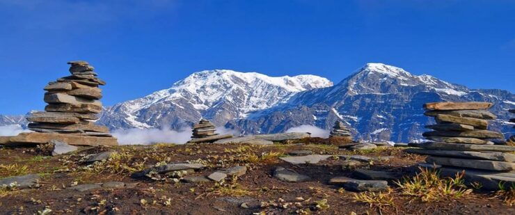 Mesmerizing Mardi Himal : Trek in the Heart of the Himalayas - Inclusions and Services