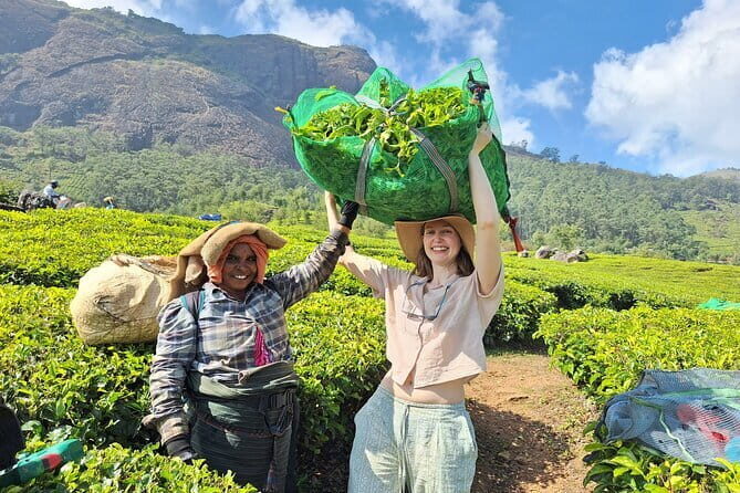 Mesmerizing Munnar: A Journey Through Paradise - Transportation and Comfort