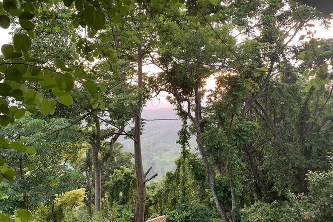 Mesmerizing Tour in Sajek Valley - FAQs