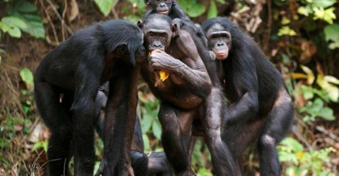 Mesnil-Saint-Père: Animal Mating Exploration Tour - Cancellation Policy and Payment