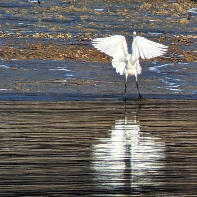 Mesnil-Saint-Père: Under the Wings of Birds Experience - Frequently Asked Questions
