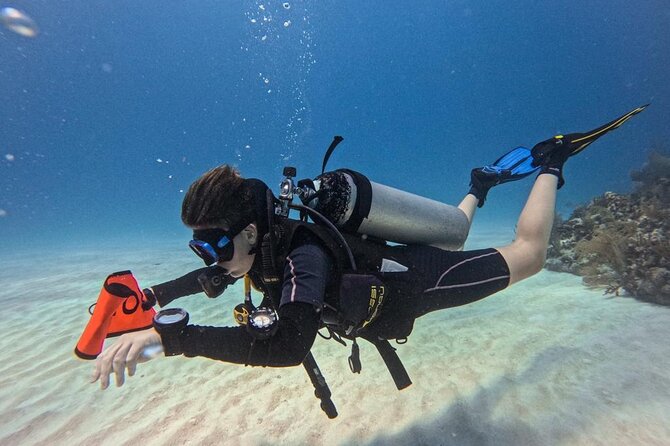 Mesoamerican Barrier Reef Private Scuba Diving  - Costa Maya - Additional Information and Policies