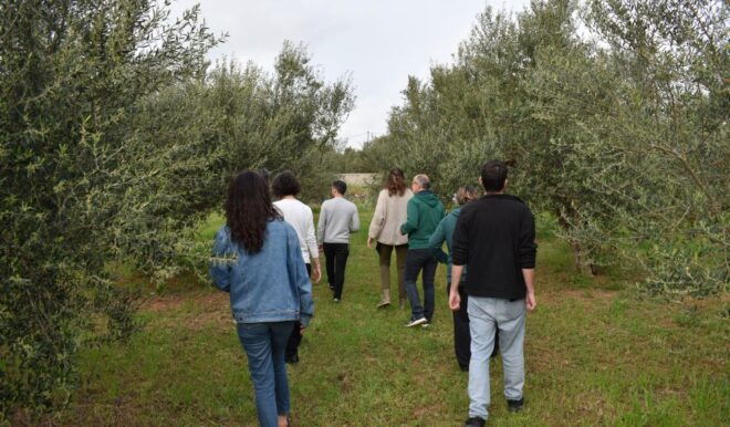 Messenia: Olive Oil Experience 2 -Tour and Food Pairing - Booking Options