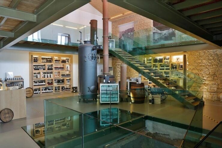 Messias: Cellar Tour + Sparkling Wine Tasting & Cheese Board - Good To Know