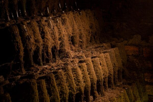 Messias: Cellar Tour + Sparkling Wine Tasting & Cheese Board - Customer Reviews and Ratings