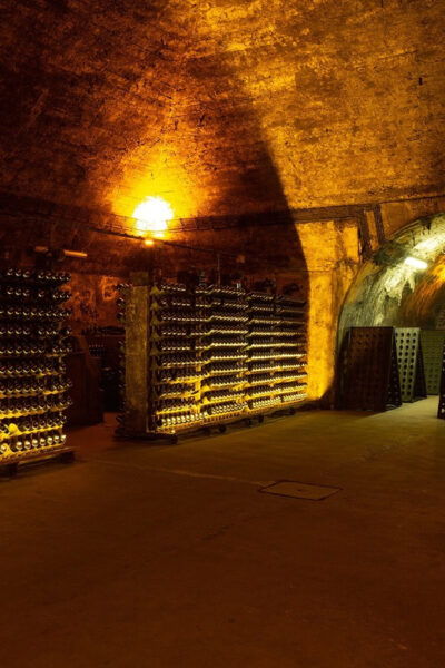 Messias: Cellar Tour + Sparkling Wine Tasting & Cheese Board - Tips for an Enjoyable Visit