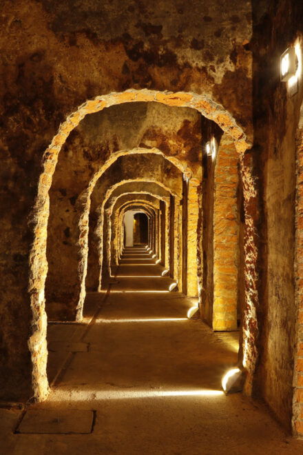 Messias: Cellar Tour With Premium Tasting & Cheese Board - Wine Production and History