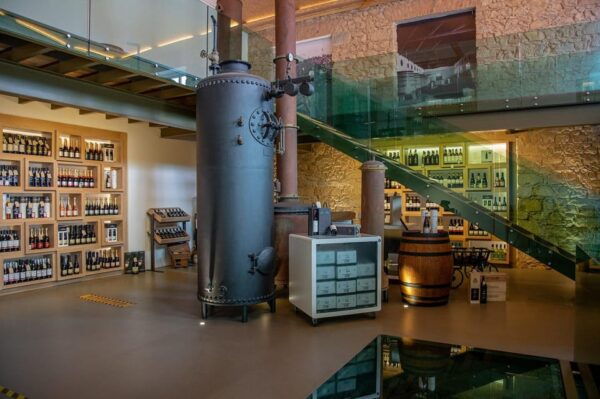 Messias: Cellar Tour With Premium Tasting & Cheese Board - Reservation and Payment Options