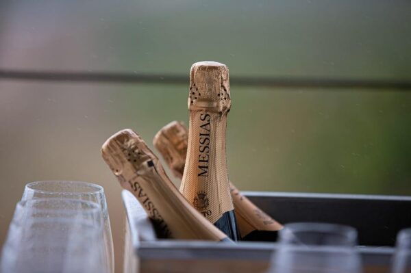 Messias: Cellar Tour With Premium Tasting & Cheese Board - Frequently Asked Questions