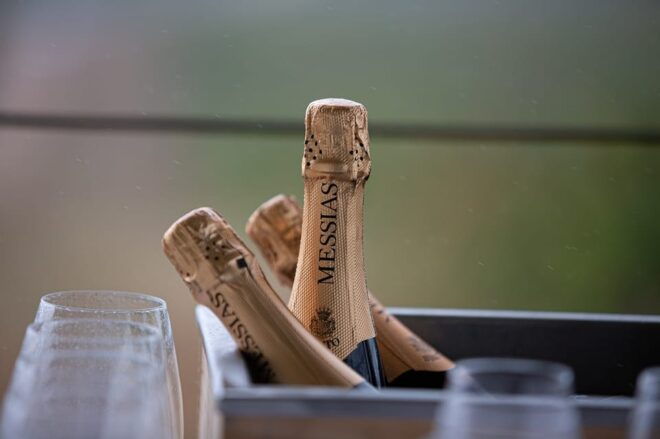 Messias Cellars: Tour and Tasting - Wine Tasting Highlights