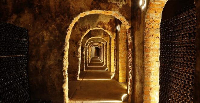 Messias Cellars: Tour and Tasting - Tour Logistics and Accessibility