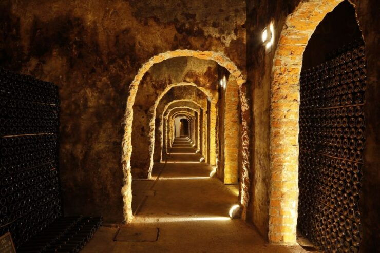 Messias Cellars With Tasting of Sparkling Wine and Port Wine - Establishment Overview