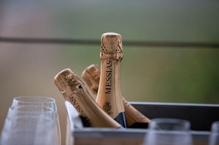 Messias Cellars With Tasting of Sparkling Wine and Port Wine - Wine Offerings