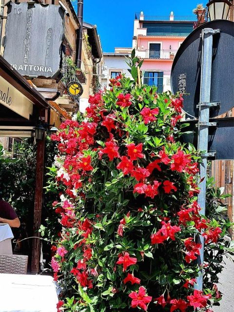 Messina, Savoca, Taormina, and Castelmola - Important Information