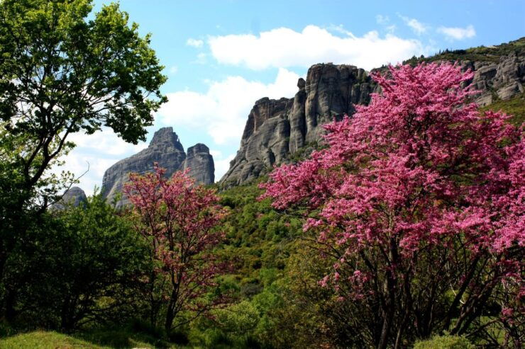 Meteora: Easy Hiking Adventure - What to Expect on the Tour