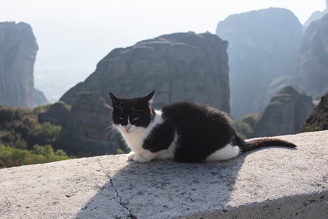 Meteora Full-Day Trip With Guide on Luxury Bus From Athens - Cancellation Policy Information