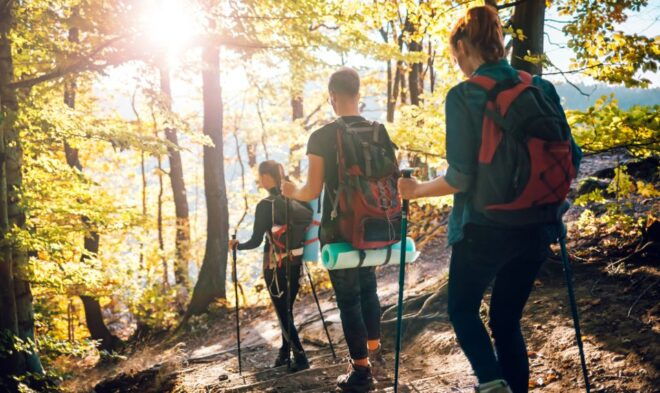 Meteora: Hiking Tour on Hidden Trails With a Local Guide - Full Description of the Activity