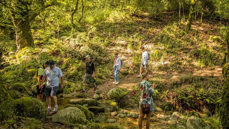 Meteora hiking tour with monastery visit from Kalampaka or Kastraki - A quieter way to see Meteora