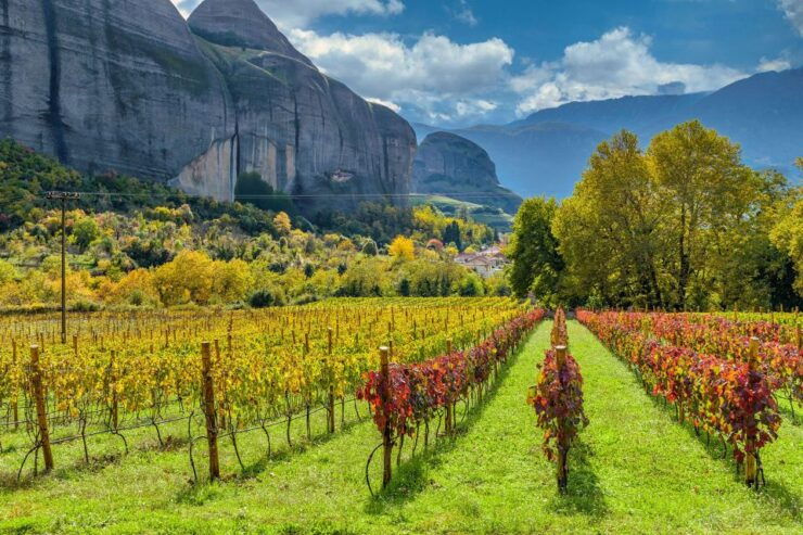 Meteora Private Wine Tasting Experience - Activity Details