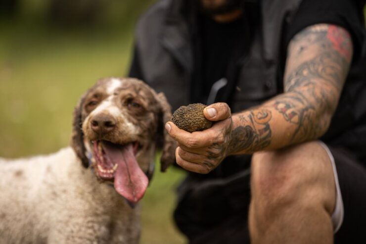 Meteora Truffle Hunting Experience With Lunch & Museum Visit - Truffle Hunting Experience