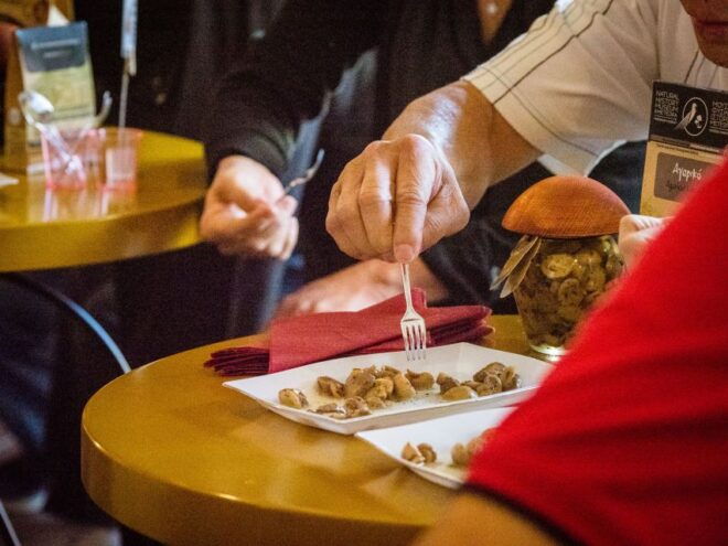 Meteora Truffle Hunting Experience With Lunch & Museum Visit - Reviews and Feedback