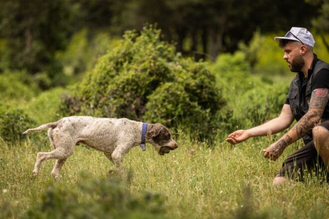 Meteora Truffle Hunting Experience With Lunch & Museum Visit - Common Questions