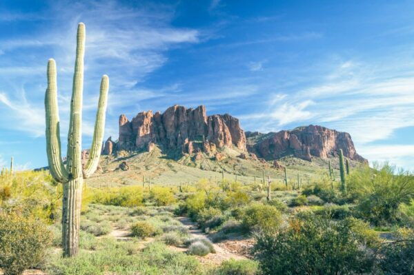 Metro Phoenix: Apache Trail Tour With Canyon Lake Cruise - The Sum Up