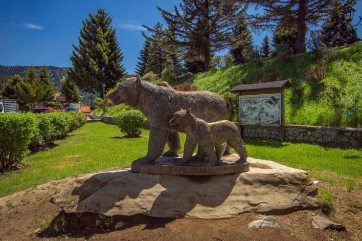 Metsovo: Food, Wine & Culture Walking Tour - Good To Know