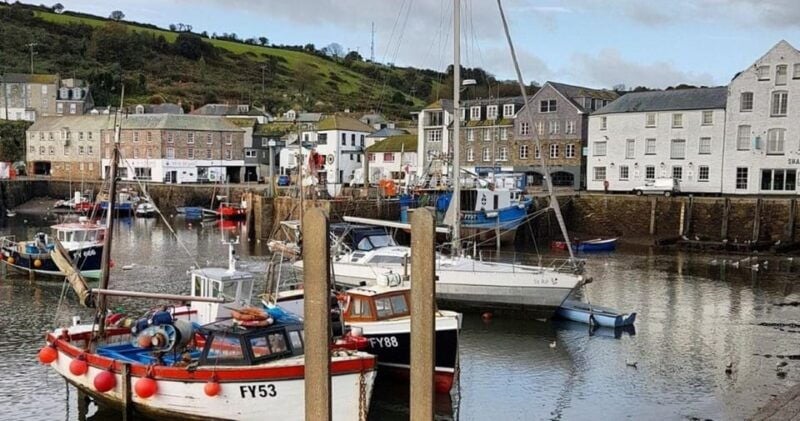 Mevagissey: Coast and Country Guided Walk - Final Thoughts