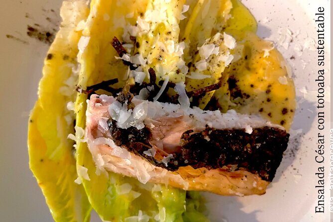 Mexican Cuisine Tasting Open Kitchen Bar - Who Will Love This Experience?