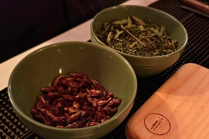 Mexican Mixology Workshop with Panoramic View in Coyoacán - Who Should Book?