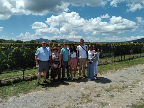 Mexican Wine Tour: Taste Queretaro Liquor and Visit a Town - Winery Visits and Tastings