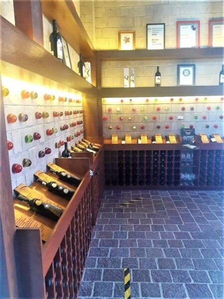 Mexican Wine Tour: Taste Queretaro Liquor and Visit a Town - Exploring Peña De Bernal