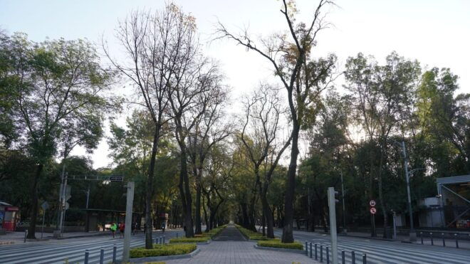 Mexico City: 19 City Highlights Bicycle Tour - Experience and Learning