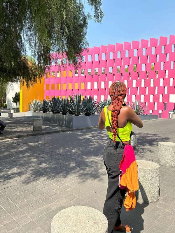 Mexico City: 1960s &1970s Mexican Architecture Walking Tour - Deep Dive Into Each Stop