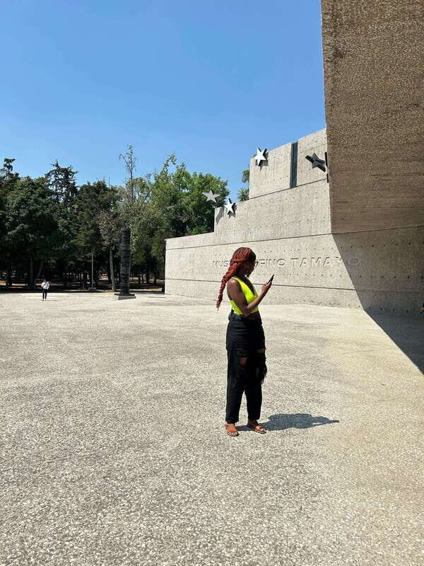 Mexico City: 1960s &1970s Mexican Architecture Walking Tour - The Sum Up: Is This Tour Right for You?