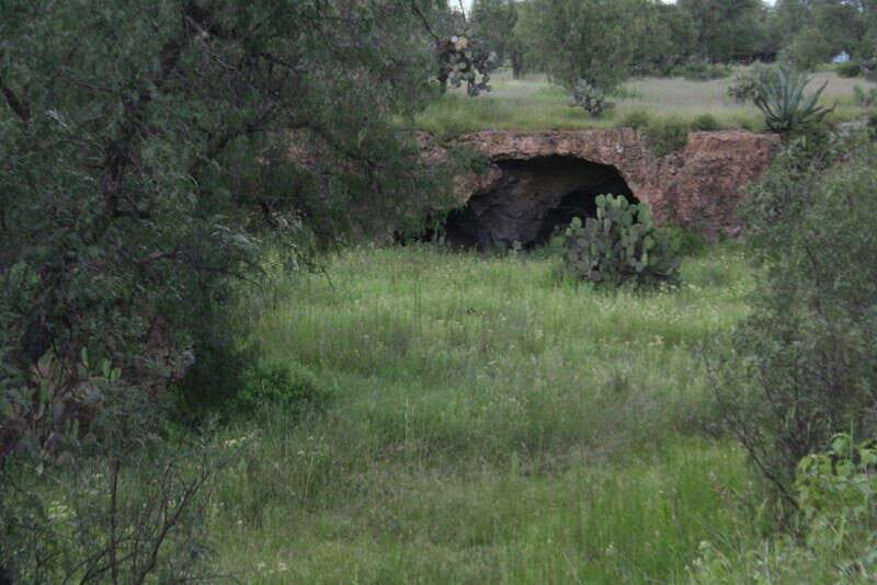 Mexico City: Basilica and Teotihuacan Pyramids Tour - Good To Know