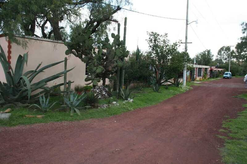 Mexico City: Basilica and Teotihuacan Pyramids Tour - FAQs