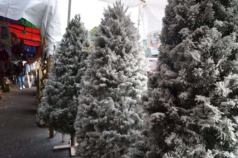 Mexico City: Best markets of the city walking tour - The Price and Its Value