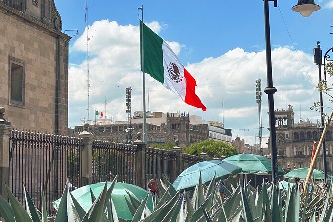 Mexico City Centro Historico Private Tour - Transportation and Logistics: What to Expect