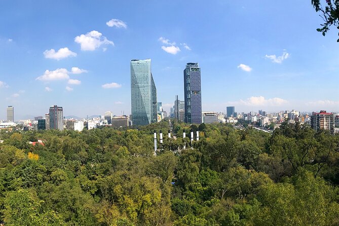 Mexico City Chapultepec Castle Private Tour - Pricing and Tour Options