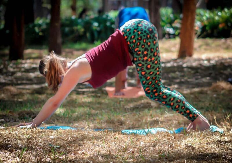 Mexico City: Chapultepec Park Yoga Class with Sound Bath - Good To Know