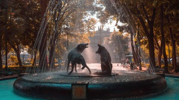 Mexico City: Coyoacán and Xochimilco - Pricing and Booking