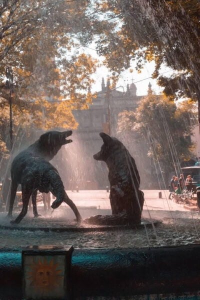 Mexico City: Coyoacán and Xochimilco - Participant Information